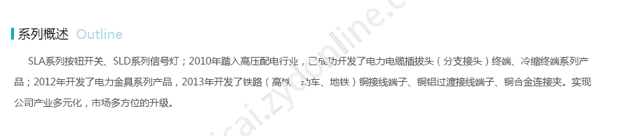 产品详情